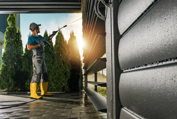 Best Gutter Cleaning  in Edina, MO