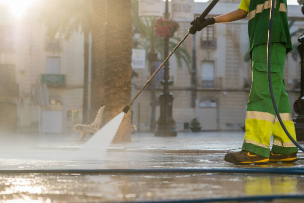 Best Roof Washing  in Edina, MO